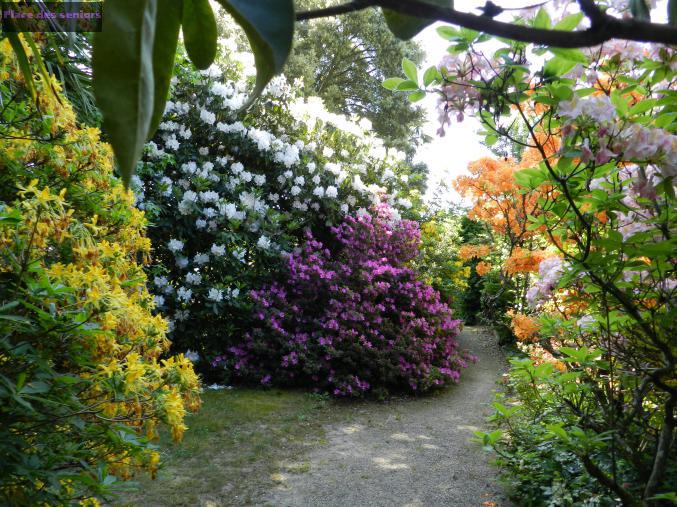 Bienvenue au Domaine de l'Orangerie de Lanniron à Quimper