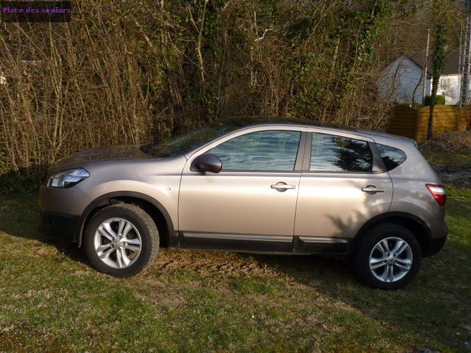 vends Nissan Qashqai à La marche