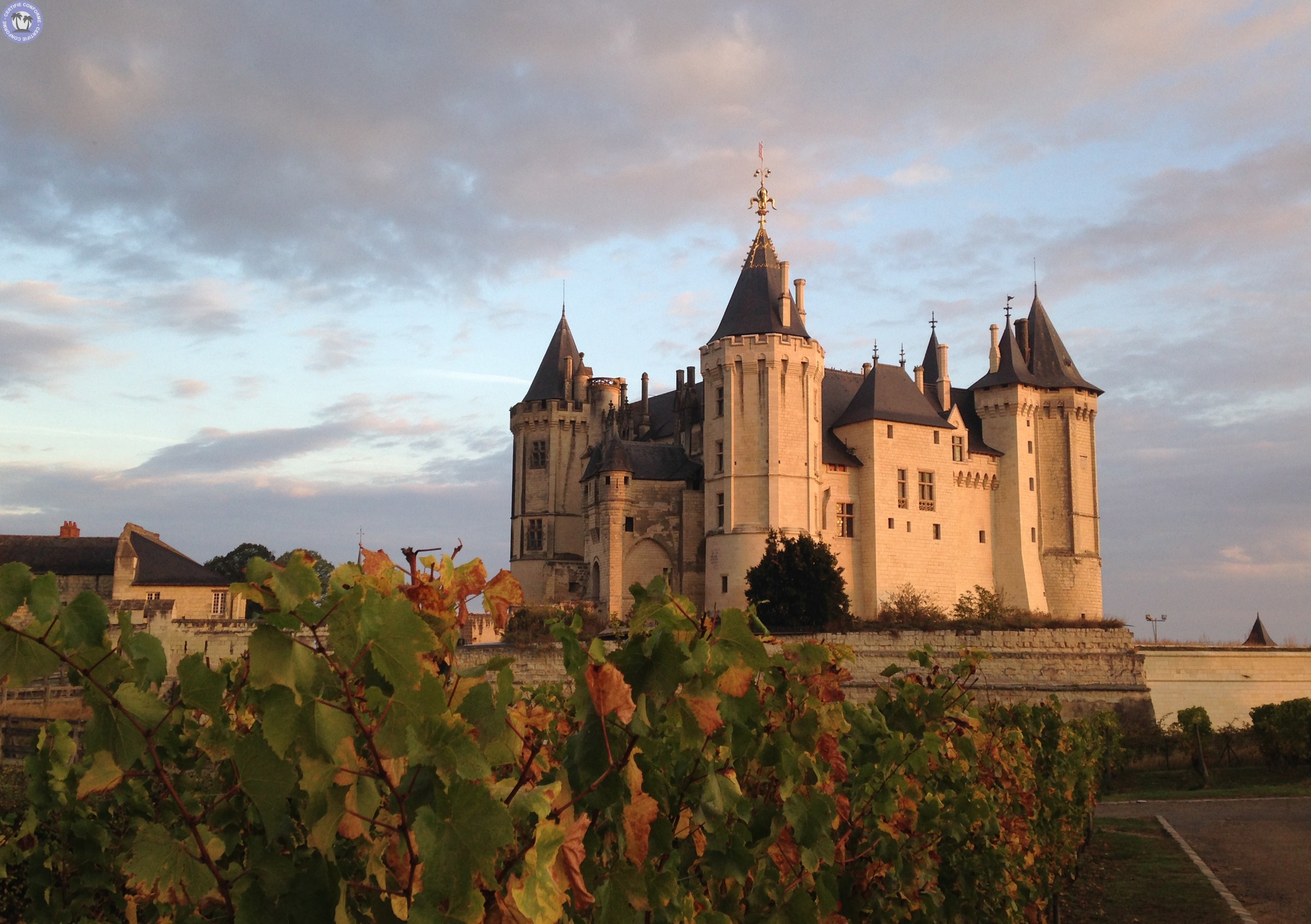 culture-pays-de-la-loire-maine-et-loire-visitez-le-chateau-de-saumur-saumur9222633446162677273.jpg