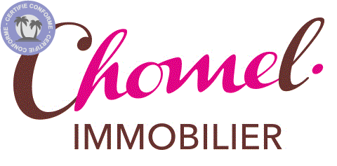 immobilier-auvergne-rhone-alpes-rhone-faites-evaluer-votre-bien-par-chomel-immobilier1193637455057586971.gif