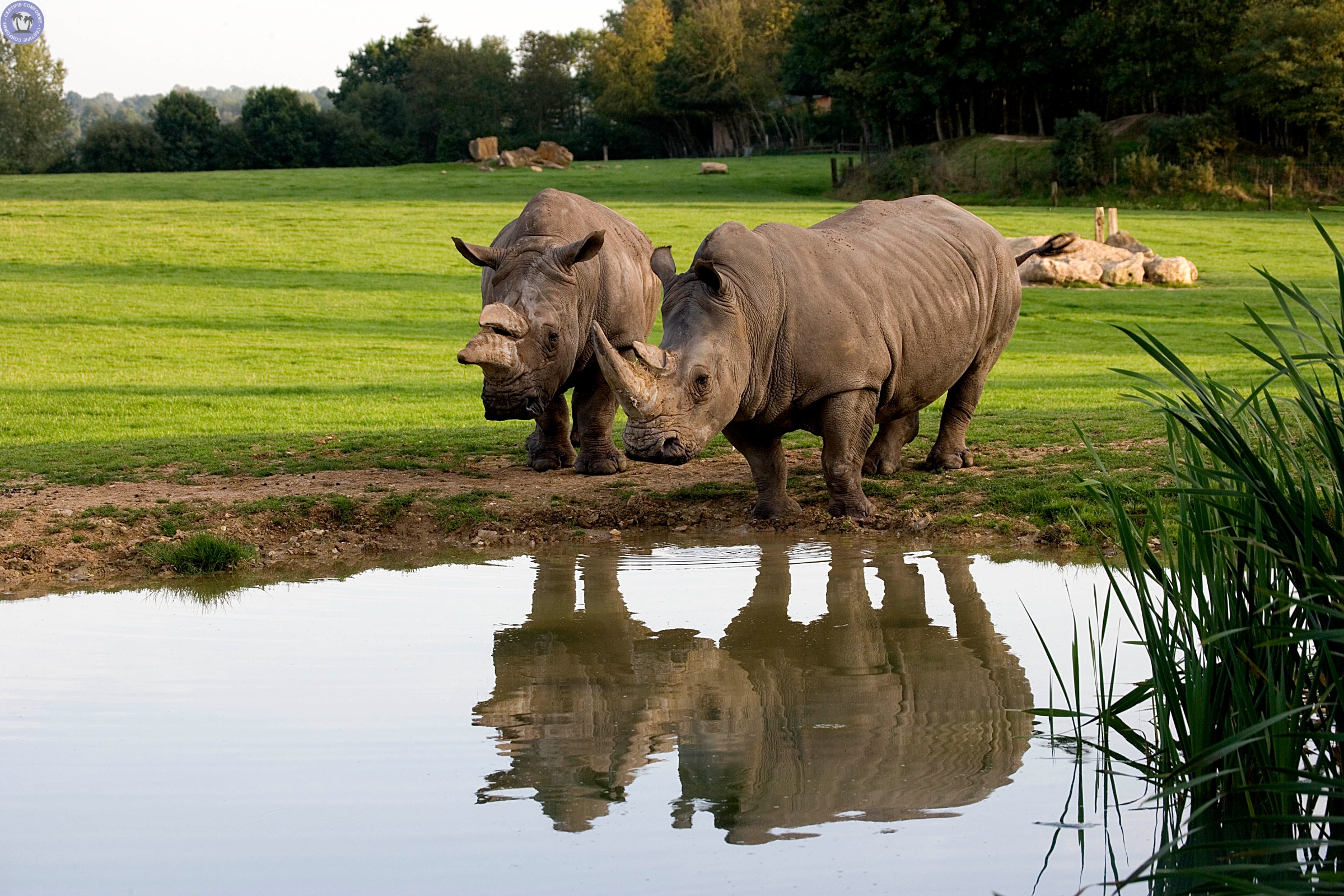 sejour-amp-voyages-normandie-calvados-parc-zoologique10111829384756687073.jpg