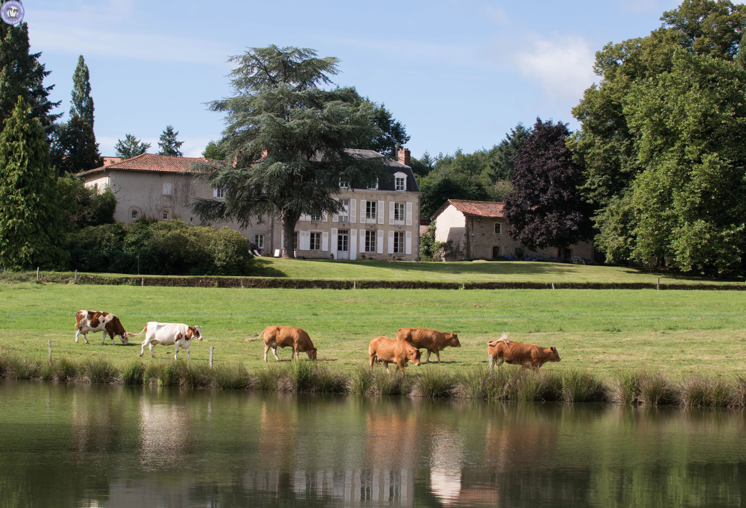 gites-amp-chambres-d-hotes-nouvelle-aquitaine-haute-vienne-au-masbareau-nature-calme-serenite-authenticite-assures-031927475153647273.jpg