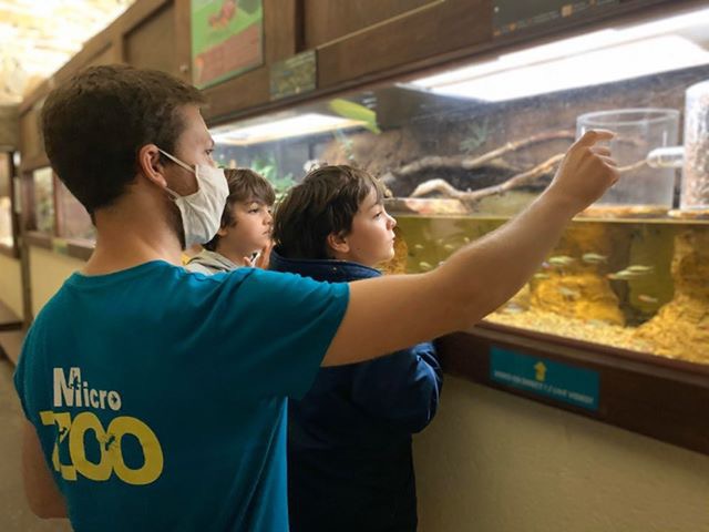 Culture-Bretagne-Ille-et-Vilaine-Visitez-le-Micro-ZOO-a-Saint-Malo-Intra-muros13911172437505156.jpg