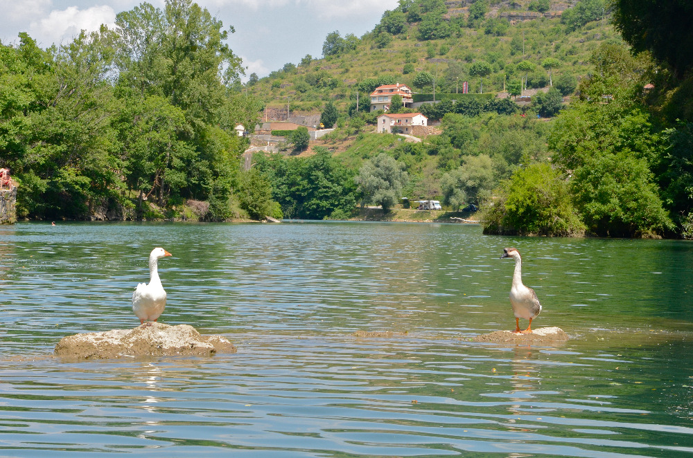 camping-occitanie-aveyron-contact-camping-cascade-aveyron-com-01918345160626874.jpg