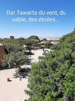 gites-amp-chambres-d-hotes-autres-regions-magnifique-lodge-a-200-m-de-l-ocean-https-dartawartadakhla0153034414547586166.jpg