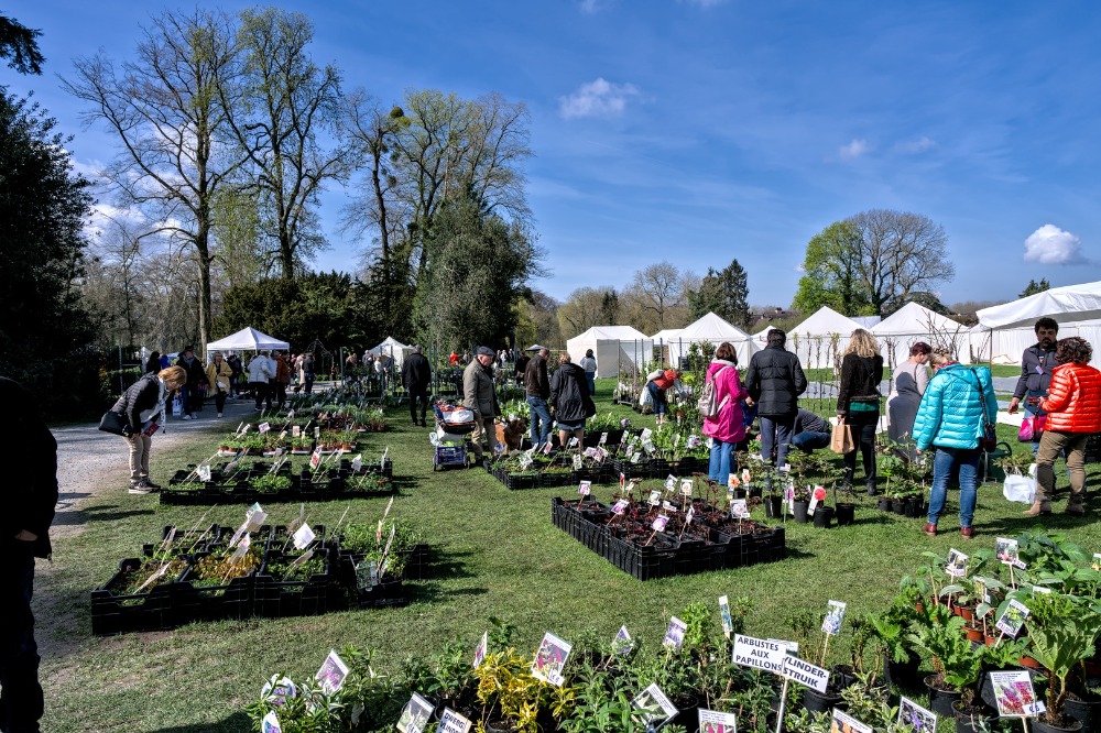 evenement-sortie-autres-regions-foire-de-jardin-dans-le-parc-du-chateau-d-enghien-belgique14343842475558626470.jpg