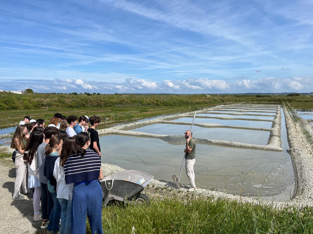 culture-pays-de-la-loire-loire-atlantique-visite-des-marais-salants17182328395060657175.jpg