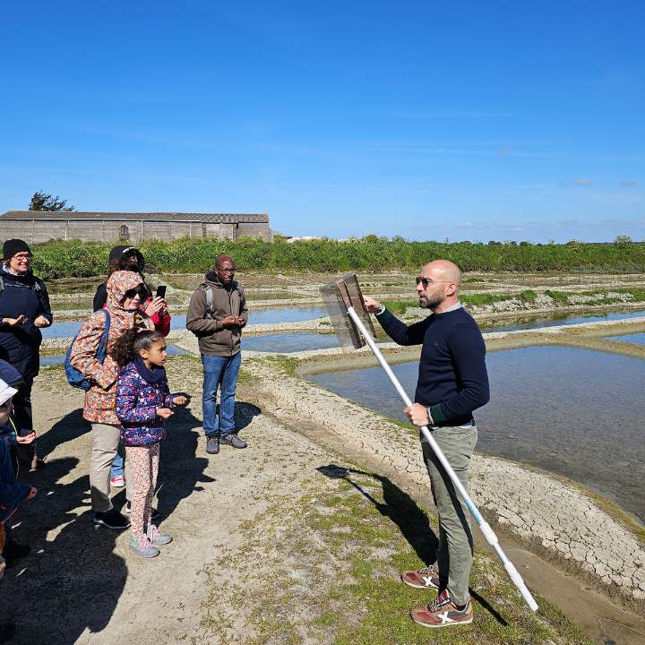 culture-pays-de-la-loire-loire-atlantique-visite-des-marais-salants683247586066717576.png