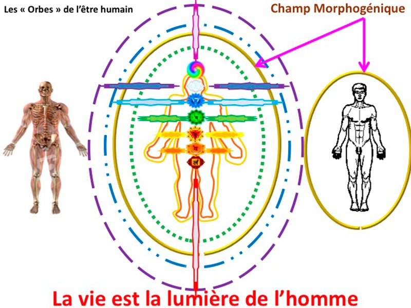 therapeutes-nouvelle-aquitaine-correze-mieux-etre161721405658606276.jpg